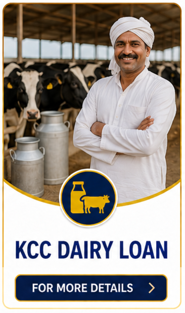 dairy