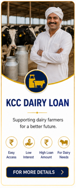 dairy